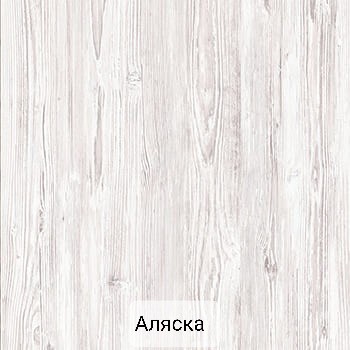 Шкаф купе 2 х дверный Класик В 1000мм foto 9