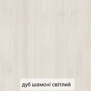 Шкаф купе 2 х дверный  Класик ВП 1700мм foto 15