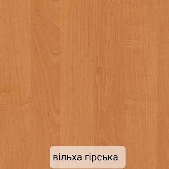 Шкаф купе 2 х дверный Класик ВП 1800мм foto 13