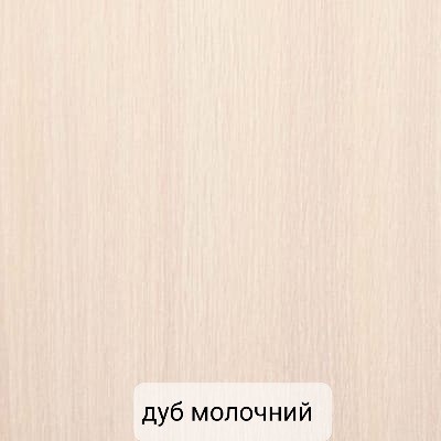Шкаф купе 2 х дверный Класик ВП 1800мм foto 4